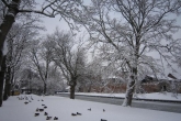 Dec 2010 Jasmine Winter Wonder Land